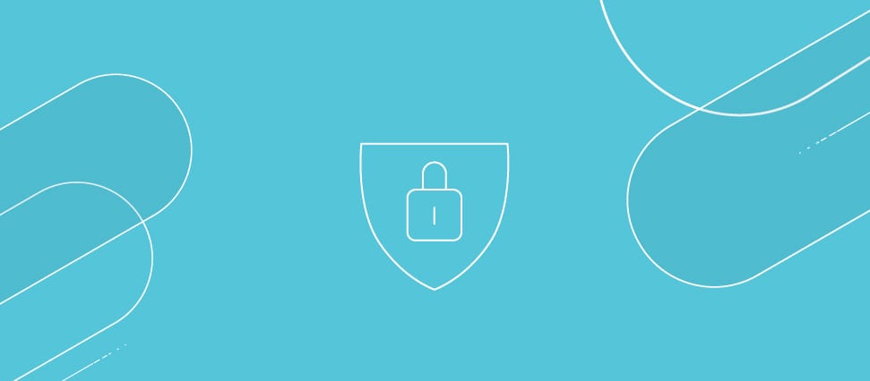 Functionaris Gegevensbescherming (FG)